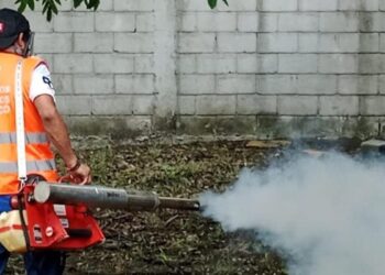 fumigaciones contra dengue en Tampico