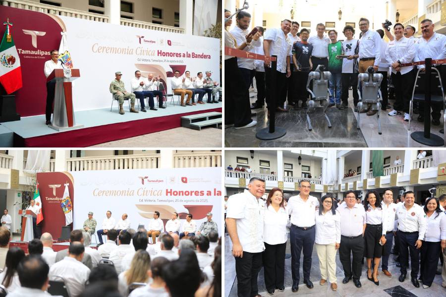 generación de energía tamaulipas