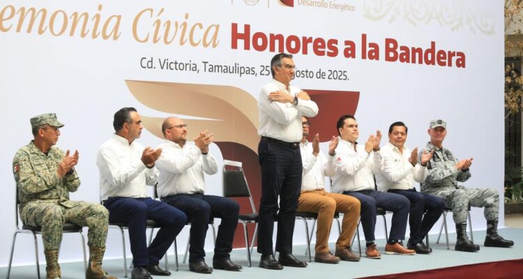 generación de energía tamaulipas