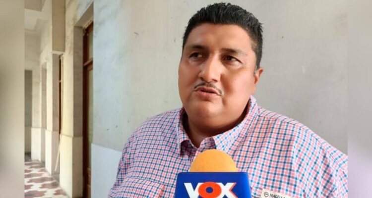gusano barrenador en Veracruz