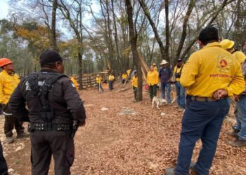 incendio forestal en ejido de Tamaulipas