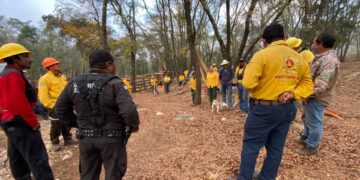 incendio forestal en ejido de Tamaulipas