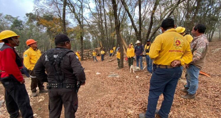incendio forestal en ejido de Tamaulipas