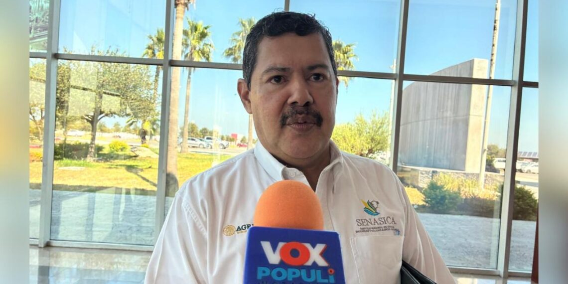 labores de barbecho en Tamaulipas