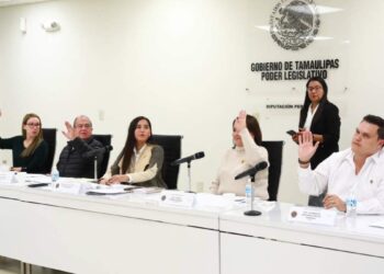 Ley de Entidades Paraestatales en Tamaulipas