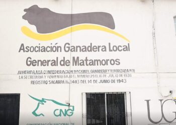 plagas en el ganado de Matamoros