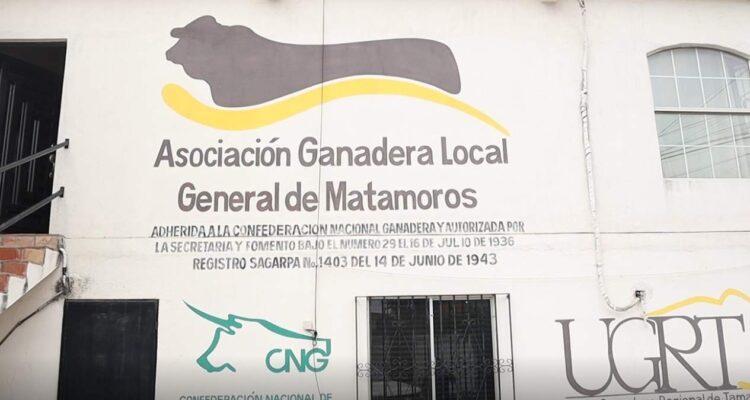 plagas en el ganado de Matamoros