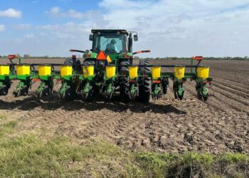 preparación de tierras en Tamaulipas
