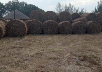 productores de Altamira