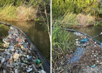 protección de ecosistemas en Nuevo Laredo