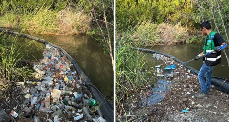 protección de ecosistemas en Nuevo Laredo