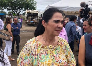 recolección de basura especial en Tampico