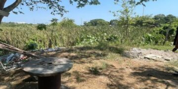 relleno de lagunas Ciudad Madero