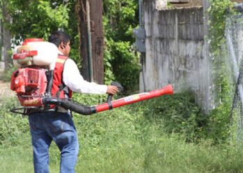 repunte dengue en tamaulipas