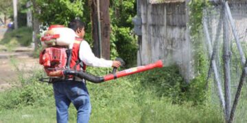 repunte dengue en tamaulipas