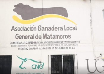sequía en ganadería de Matamoros