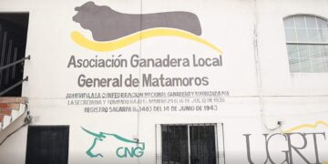 sequía en ganadería de Matamoros