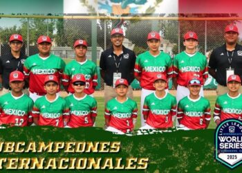 Serie Mundial de Ligas Pequeñas