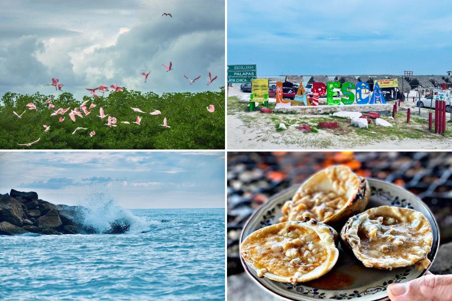 Soto la Marina destino turístico