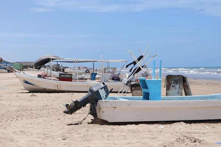 veda de lisa y liseta en tamaulipas