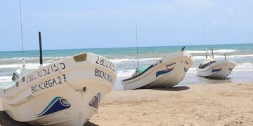 veda de lisa y liseta en tamaulipas