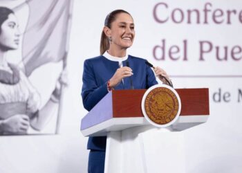 viviendas para el bienestar en tamaulipas
