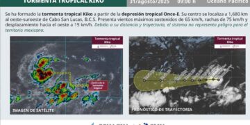 ¿Qué día podría evolucionar a huracán la Tormenta Tropical Kiko?