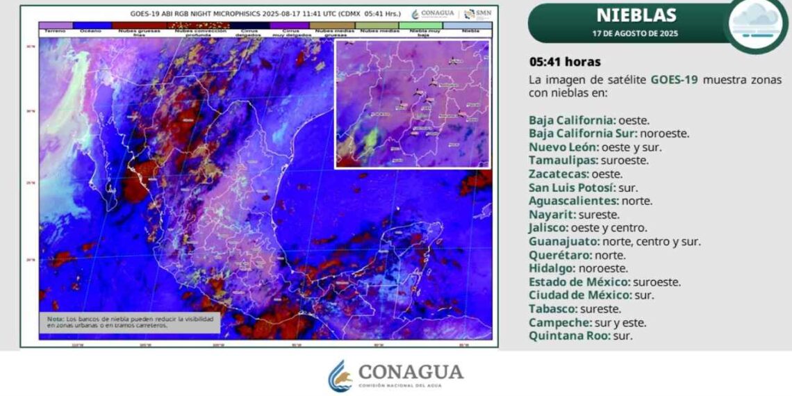 ¿Tamaulipas enfrentará vientos fuertes y clima caluroso este domingo?