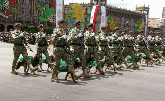 Así desfilaron los binomios caninos en el Zócalo de la Ciudad de México este 16 de septiembre