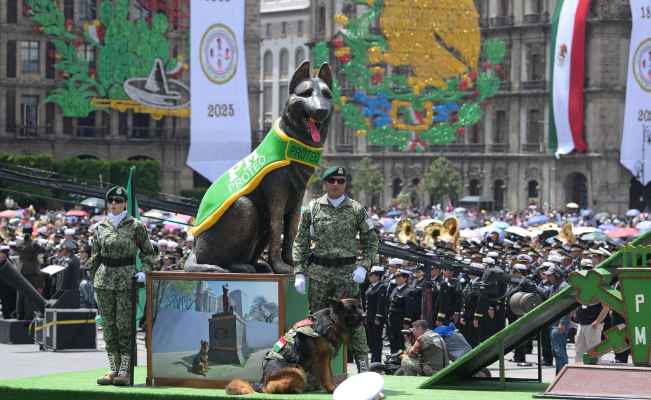 Así desfilaron los binomios caninos en el Zócalo de la Ciudad de México este 16 de septiembre