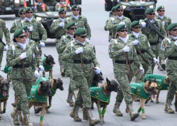 Así desfilaron los binomios caninos en el Zócalo de la Ciudad de México este 16 de septiembre