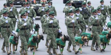 Así desfilaron los binomios caninos en el Zócalo de la Ciudad de México este 16 de septiembre