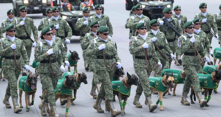 Así desfilaron los binomios caninos en el Zócalo de la Ciudad de México este 16 de septiembre