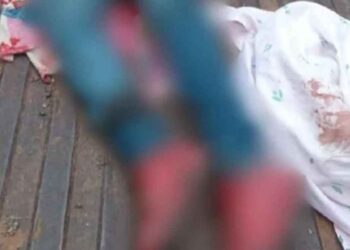 Michoacán campesino muerto