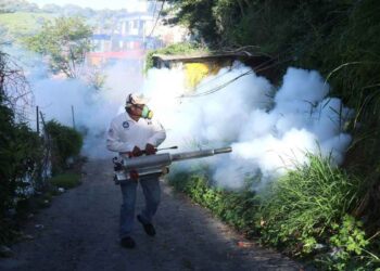 Aumento del dengue en México más de 500 contagios esta semana