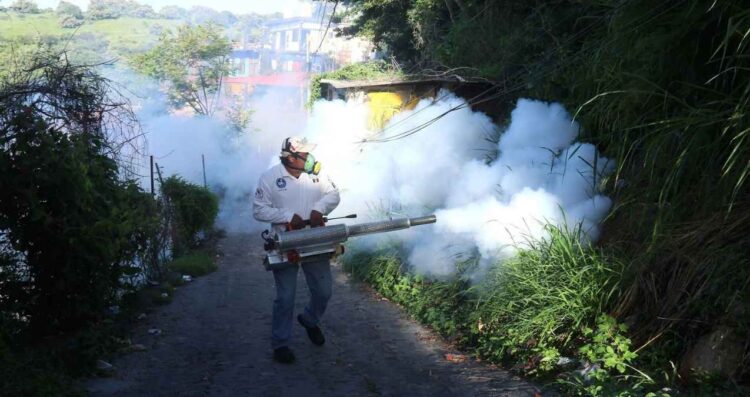 Aumento del dengue en México más de 500 contagios esta semana