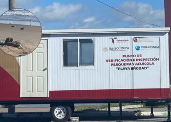pruebas influenza aviar Matamoros