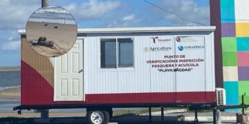 pruebas influenza aviar Matamoros