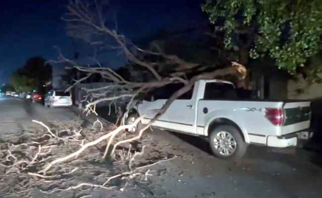 Cae rama de un árbol sobre camioneta y le causa daños en la Colonia Nuevo Repueblo en Monterrey, NL