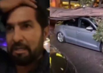 Cae un árbol y aplasta el carro de Arturo Carmona