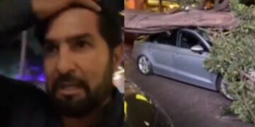 Cae un árbol y aplasta el carro de Arturo Carmona