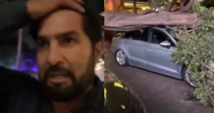 Cae un árbol y aplasta el carro de Arturo Carmona