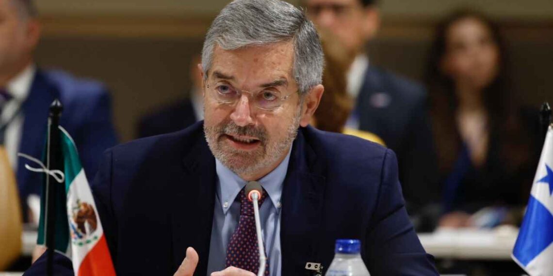 Asamblea General ONU De la Fuente