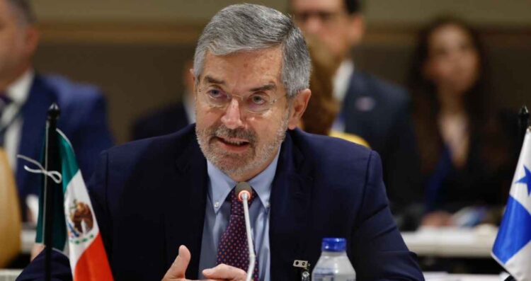 Asamblea General ONU De la Fuente