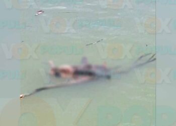 Desconocido flotando en Río Pánuco