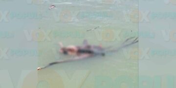 Desconocido flotando en Río Pánuco