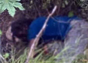 Hombre muere electrocutado Escobedo