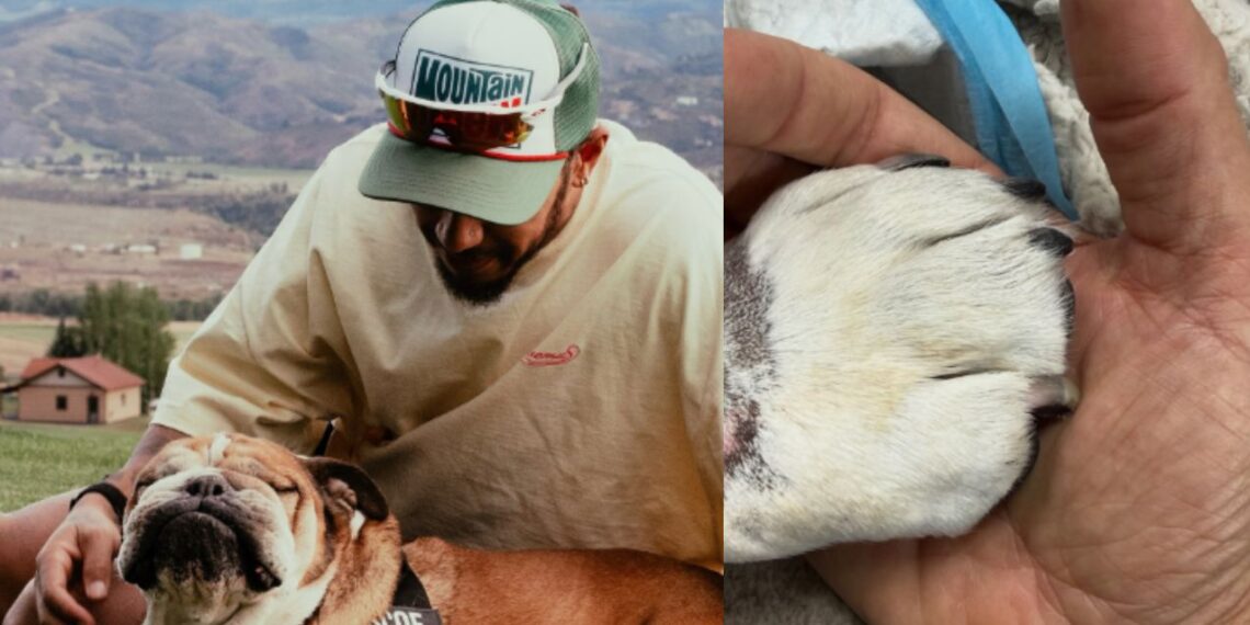 Lewis Hamilton despide a Roscoe, su fiel bulldog, tras su muerte