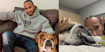 Lewis Hamilton revela que su perro Roscoe está en coma por neumonía