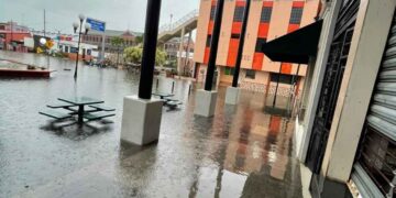 locatarios mercados Tampico Dren Pluvial